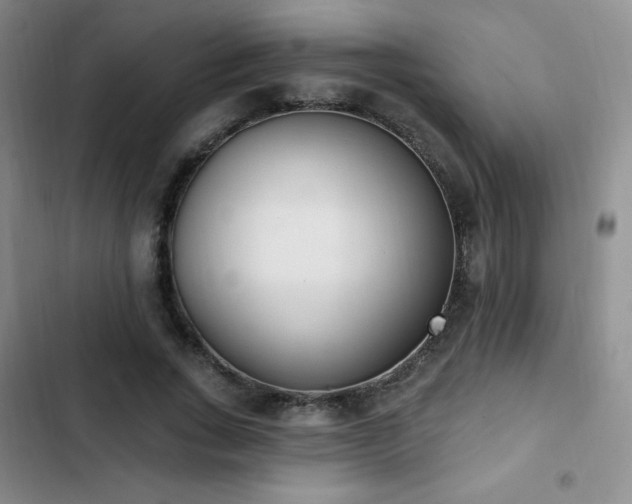 X0000103170735200808221234
