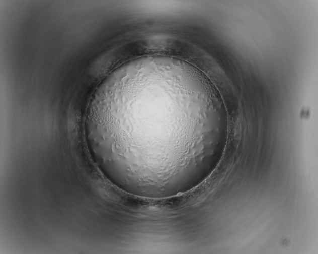 X0000103170737200808221234