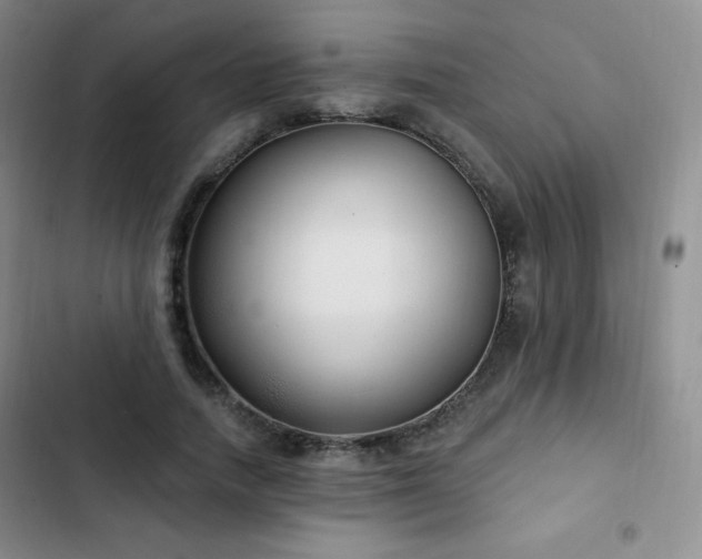 X0000103170738200808221234