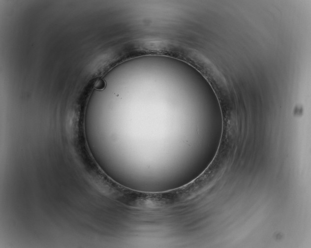 X0000103170739200808221234