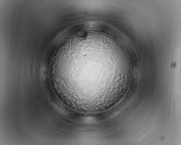 X0000103170741200808221234