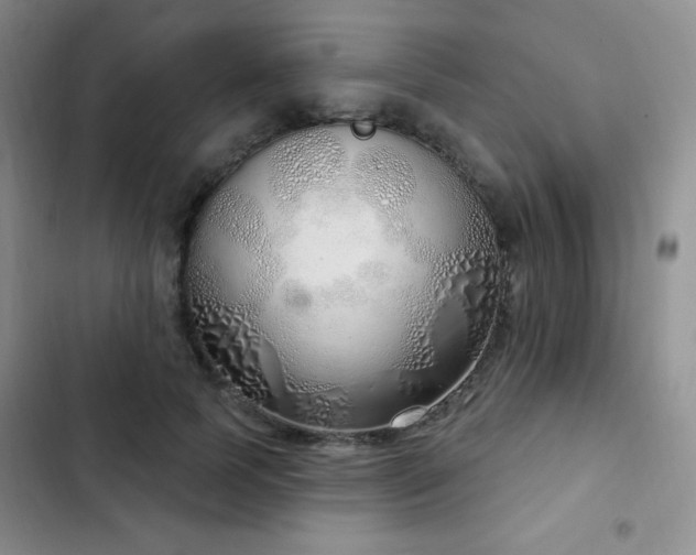 X0000103170745200808221234