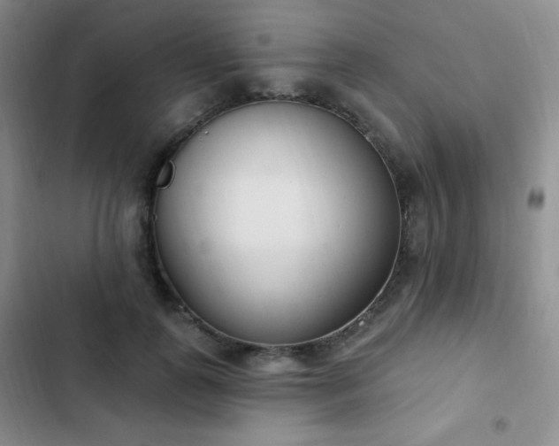 X0000103170747200808221234