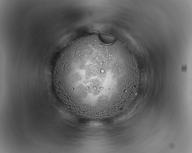 X0000103170749200808221234