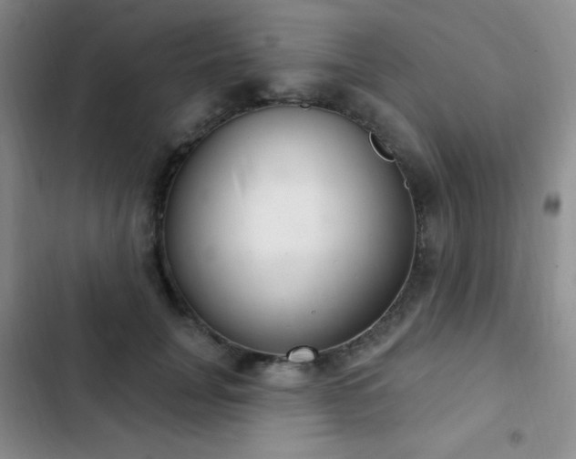 X0000103170751200808221234
