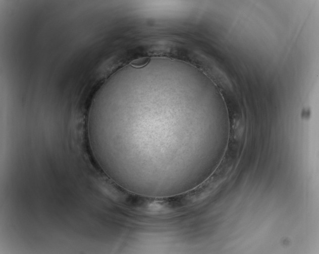 X0000103170753200808221234