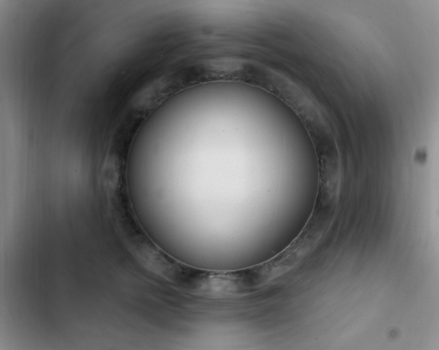 X0000103170758200808221234
