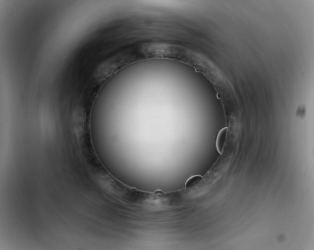 X0000103170760200808221234