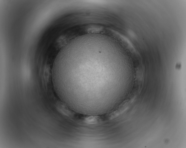 X0000103170761200808221234