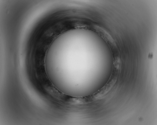 X0000103170763200808221234