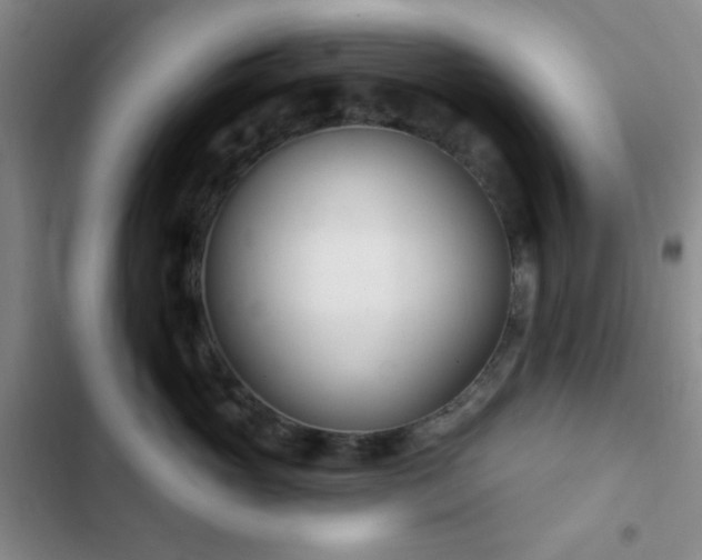 X0000103170765200808221234