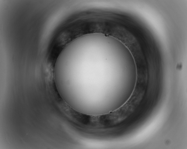 X0000103170766200808221235