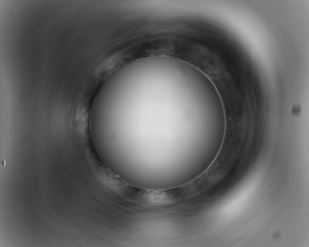 X0000103170767200808221235