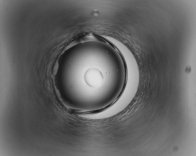 X0000103170769200808221234