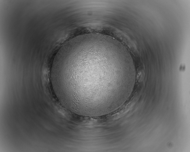 X0000103170772200808221234