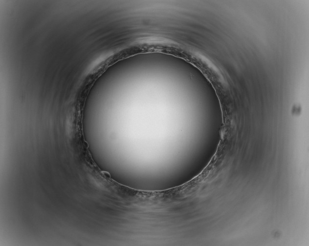 X0000103170775200808221234