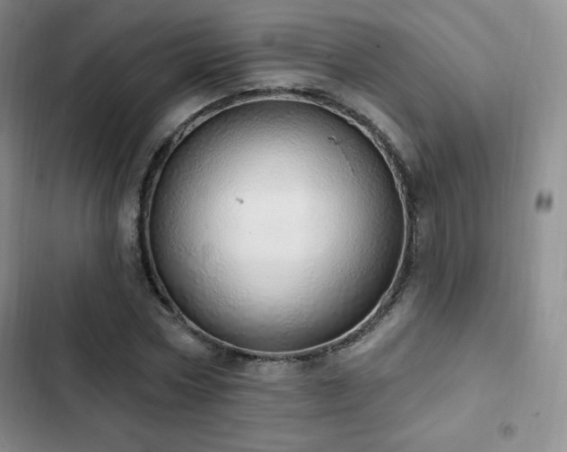 X0000103170778200808221234