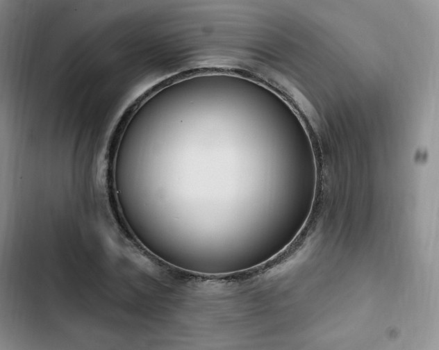 X0000103170779200808221234
