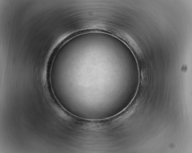 X0000103170780200808221234