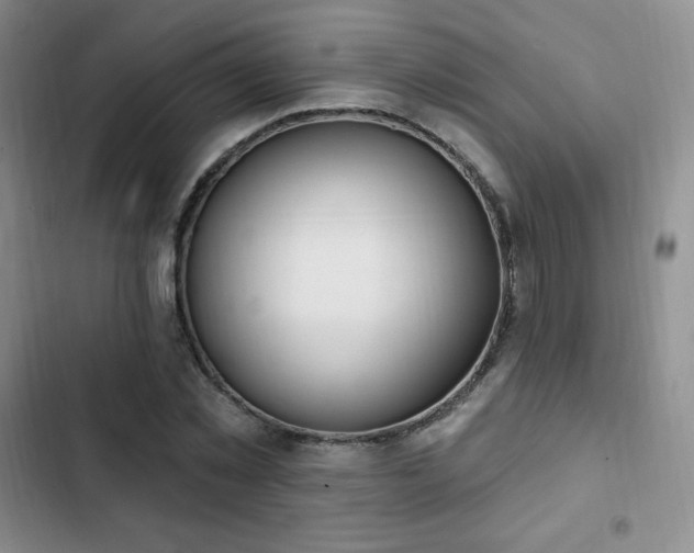 X0000103170781200808221234