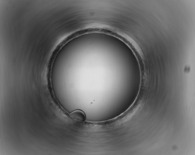 X0000103170783200808221234