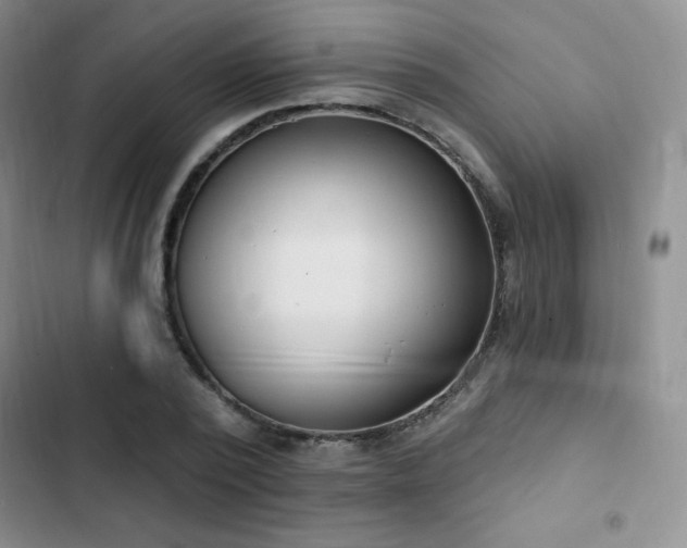 X0000103170784200808221233