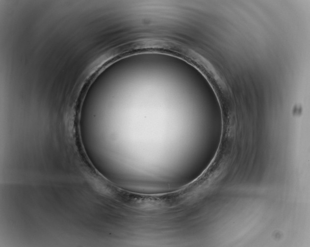 X0000103170786200808221233