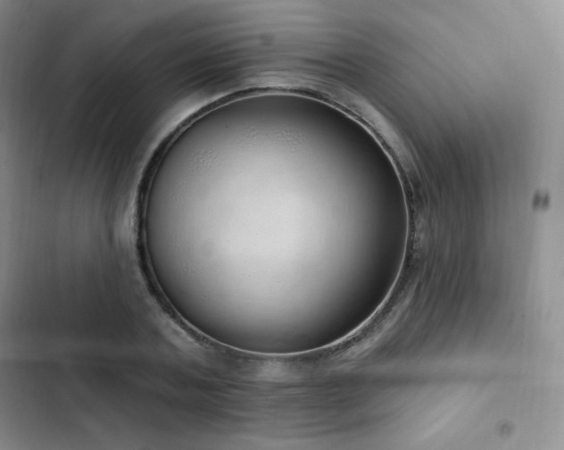 X0000103170787200808221233