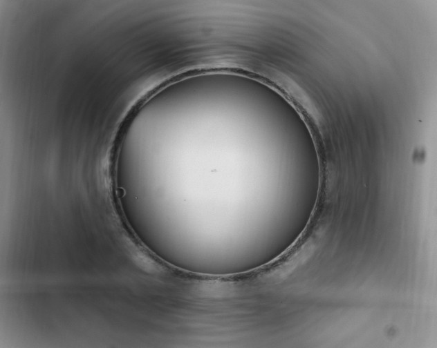 X0000103170789200808221233