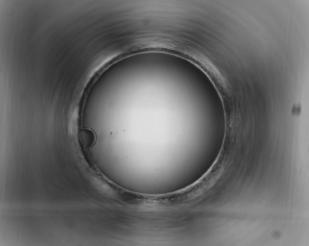 X0000103170790200808221233