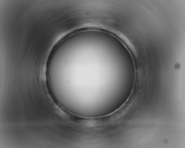 X0000103170791200808221233