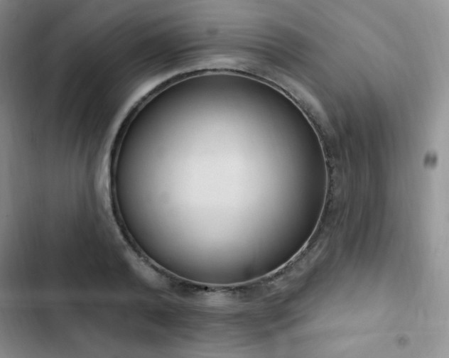 X0000103170792200808221233