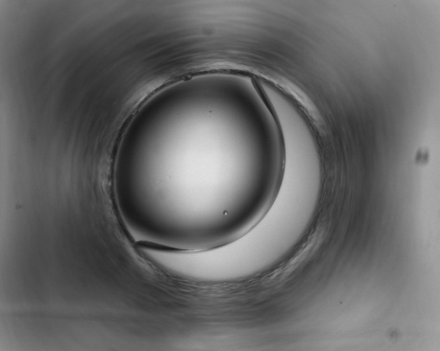 X0000103170793200808221233