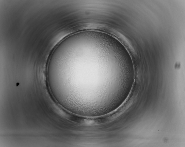 X0000103170794200808221233