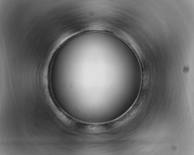 X0000103170795200808221233