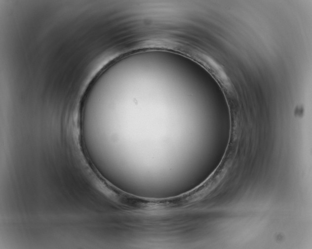 X0000103170796200808221233