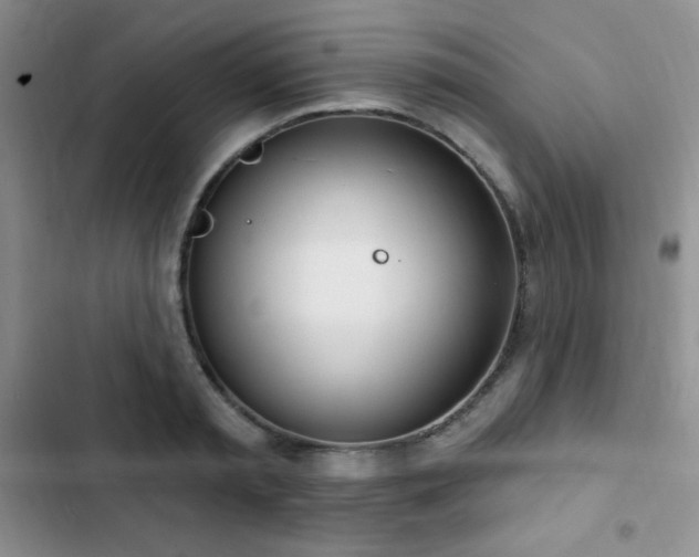 X0000103170797200808221233