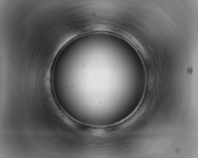 X0000103170798200808221233