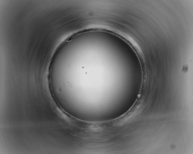 X0000103170799200808221233