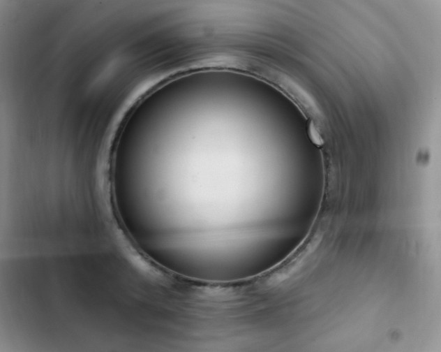 X0000103170800200808221233