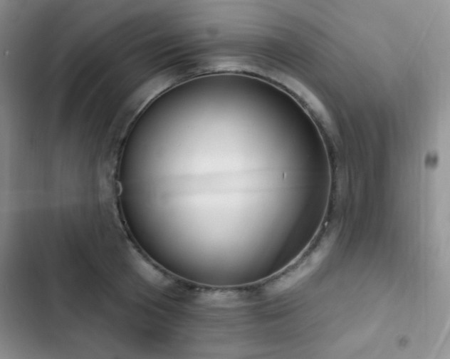 X0000103170801200808221233