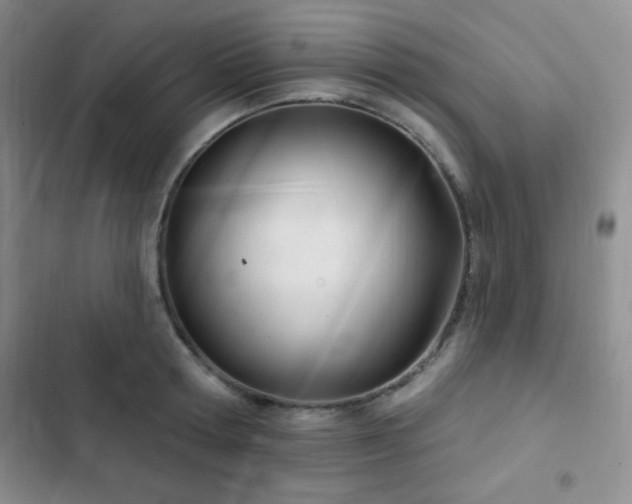 X0000103170802200808221233