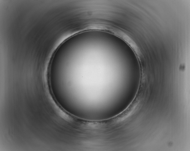 X0000103170803200808221233