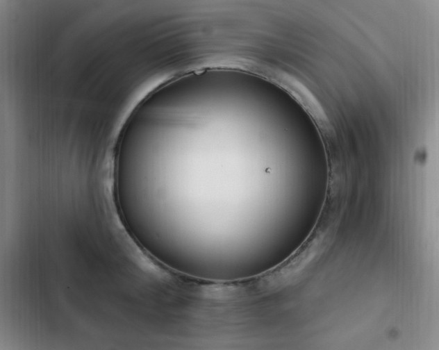 X0000103170804200808221233