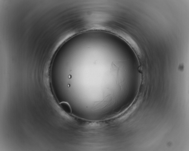 X0000103170806200808221233