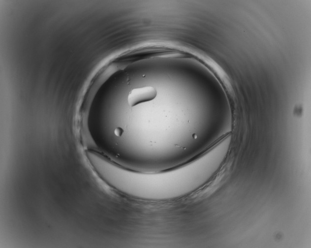 X0000103170807200808221233