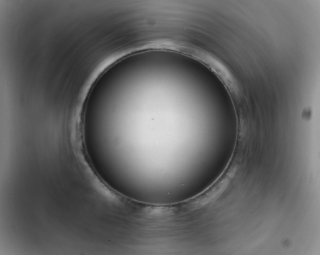 X0000103170808200808221233