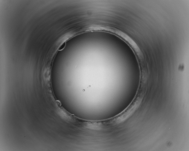 X0000103170809200808221233