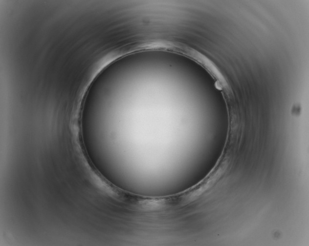 X0000103170810200808221233