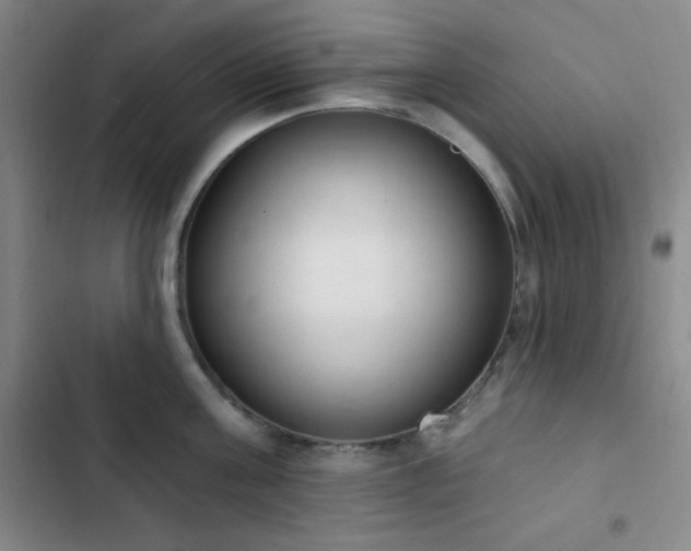 X0000103170811200808221233